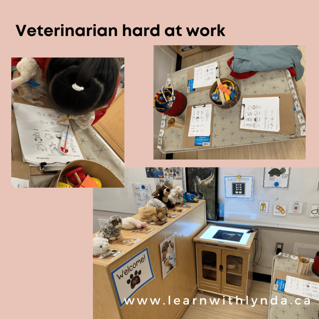 Dramatic Play Vet Clinic