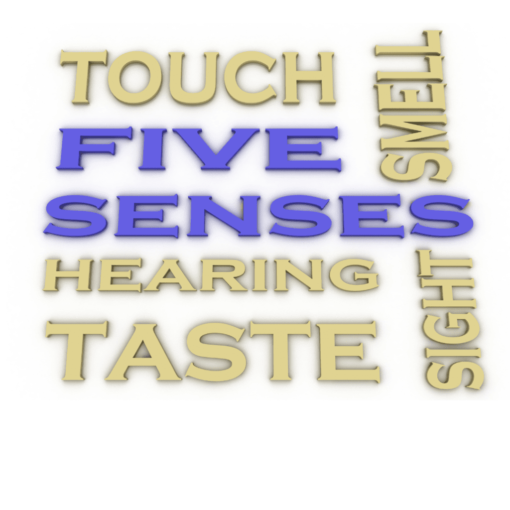 5 senses